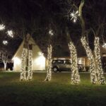 luxelight holiday lighting melbourne fl